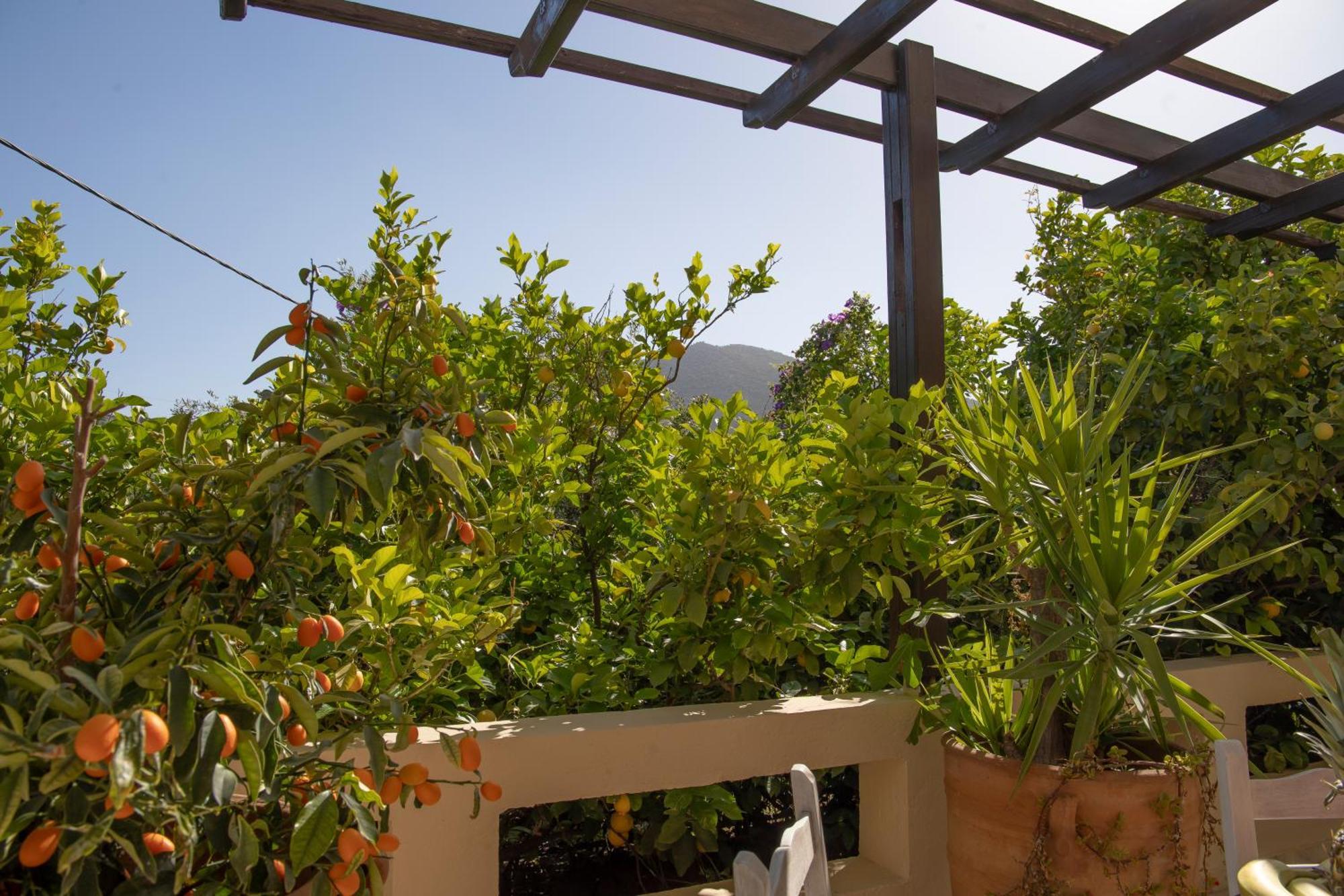 Private Pet Friendly Villa Agios Nikolaos  Exterior photo